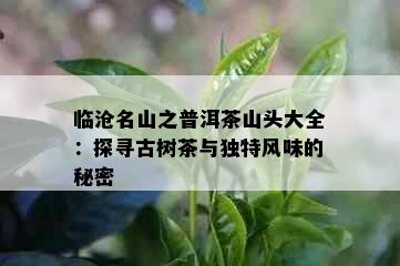 临沧名山之普洱茶山头大全：探寻古树茶与独特风味的秘密