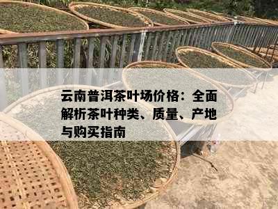 云南普洱茶叶场价格：全面解析茶叶种类、质量、产地与购买指南