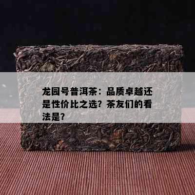 龙园号普洱茶：品质卓越还是性价比之选？茶友们的看法是？