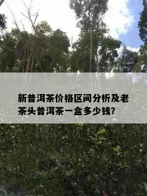 新普洱茶价格区间分析及老茶头普洱茶一盒多少钱？