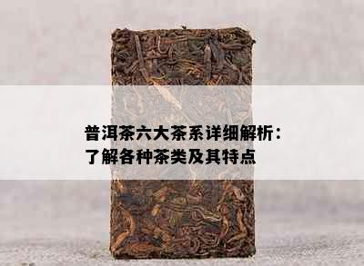 普洱茶六大茶系详细解析：了解各种茶类及其特点