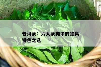 普洱茶：六大茶类中的独具特色之选