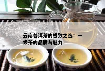 云南普洱茶的极致之选：一级茶的品质与魅力