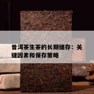 普洱茶生茶的长期储存：关键因素和保存策略