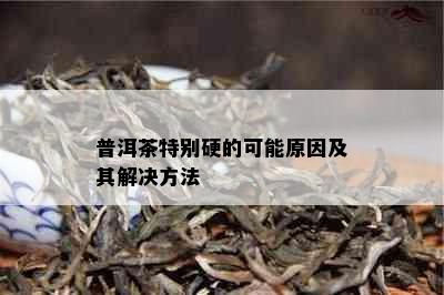 普洱茶特别硬的可能原因及其解决方法