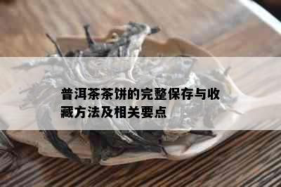 普洱茶茶饼的完整保存与收藏方法及相关要点