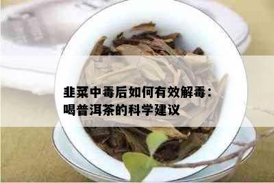 韭菜中后如何有效解：喝普洱茶的科学建议