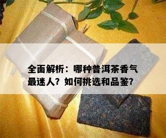 全面解析：哪种普洱茶香气最迷人？如何挑选和品鉴？