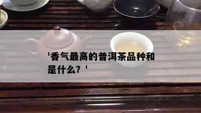 '香气更高的普洱茶品种和是什么？'