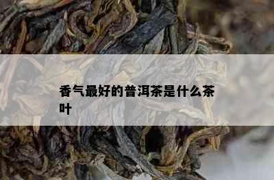 香气更好的普洱茶是什么茶叶