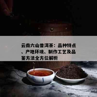 云南六山普洱茶：品种特点、产地环境、制作工艺及品鉴方法全方位解析