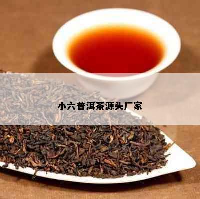 小六普洱茶源头厂家