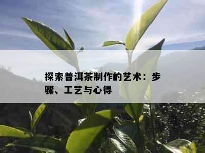 探索普洱茶制作的艺术：步骤、工艺与心得