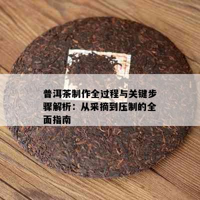 普洱茶制作全过程与关键步骤解析：从采摘到压制的全面指南