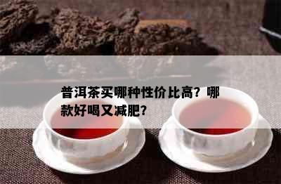 普洱茶买哪种性价比高？哪款好喝又减肥？