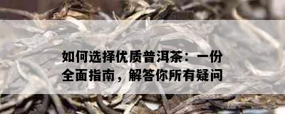 如何选择优质普洱茶：一份全面指南，解答你所有疑问