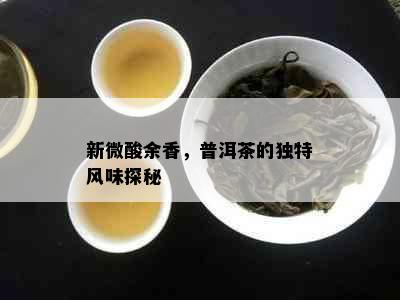 新微酸余香，普洱茶的独特风味探秘