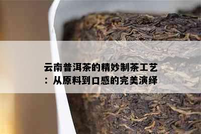 云南普洱茶的精妙制茶工艺：从原料到口感的完美演绎