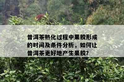 普洱茶熟化过程中果胶形成的时间及条件分析，如何让普洱茶更好地产生果胶？