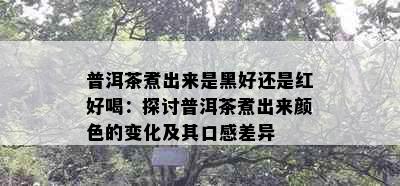 普洱茶煮出来是黑好还是红好喝：探讨普洱茶煮出来颜色的变化及其口感差异