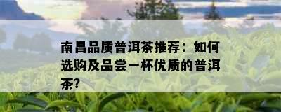 南昌品质普洱茶推荐：如何选购及品尝一杯优质的普洱茶？