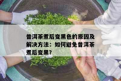 普洱茶煮后变黑色的原因及解决方法：如何避免普洱茶煮后变黑？