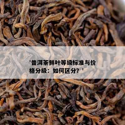 '普洱茶鲜叶等级标准与价格分级：如何区分？'