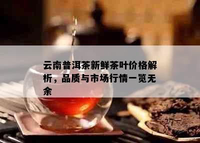 云南普洱茶新鲜茶叶价格解析，品质与市场行情一览无余