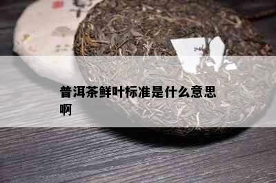 普洱茶鲜叶标准是什么意思啊