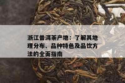 浙江普洱茶产地：了解其地理分布、品种特色及品饮方法的全面指南