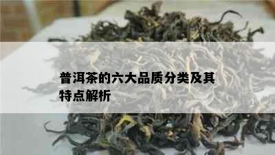 普洱茶的六大品质分类及其特点解析