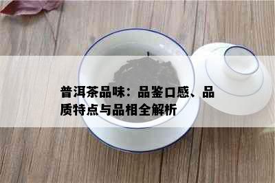 普洱茶品味：品鉴口感、品质特点与品相全解析