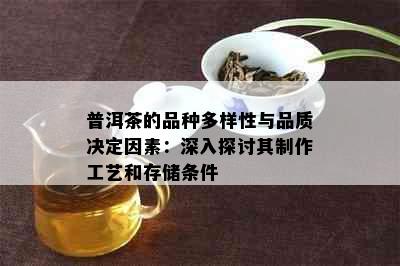 普洱茶的品种多样性与品质决定因素：深入探讨其制作工艺和存储条件