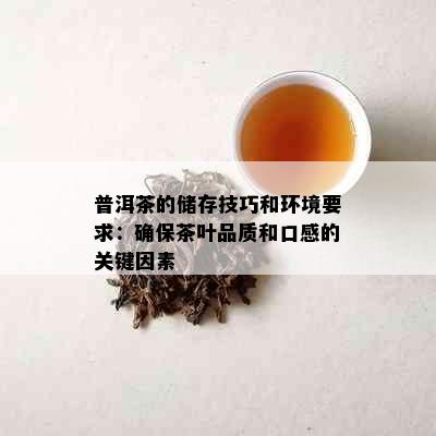 普洱茶的储存技巧和环境要求：确保茶叶品质和口感的关键因素