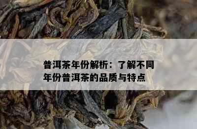 普洱茶年份解析：了解不同年份普洱茶的品质与特点