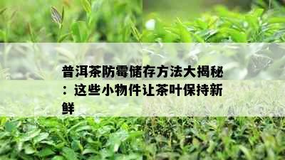 普洱茶防霉储存方法大揭秘：这些小物件让茶叶保持新鲜