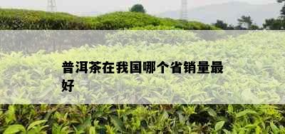 普洱茶在我国哪个省销量更好