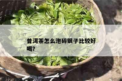 普洱茶怎么泡碎银子比较好喝？