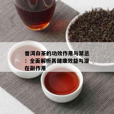 普洱白茶的功效作用与禁忌：全面解析其健康效益与潜在副作用