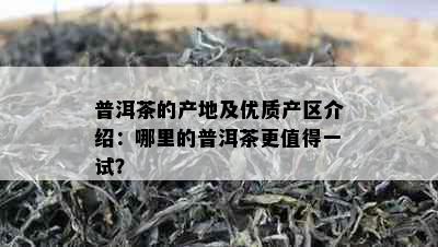 普洱茶的产地及优质产区介绍：哪里的普洱茶更值得一试？