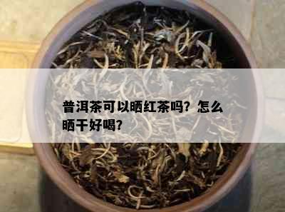 普洱茶可以晒红茶吗？怎么晒干好喝？