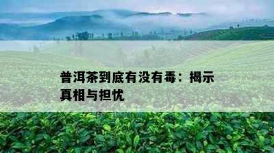 普洱茶到底有没有：揭示真相与担忧