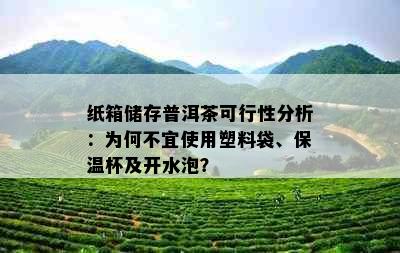 纸箱储存普洱茶可行性分析：为何不宜使用塑料袋、保温杯及开水泡？