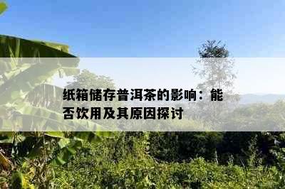 纸箱储存普洱茶的影响：能否饮用及其原因探讨