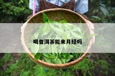 喝普洱茶能来月经吗