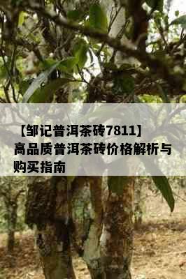 【邹记普洱茶砖7811】高品质普洱茶砖价格解析与购买指南