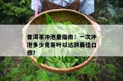 普洱茶冲泡量指南：一次冲泡多少克茶叶以达到更佳口感？