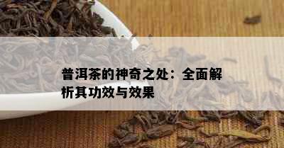 普洱茶的神奇之处：全面解析其功效与效果