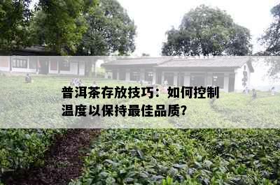 普洱茶存放技巧：如何控制温度以保持更佳品质？