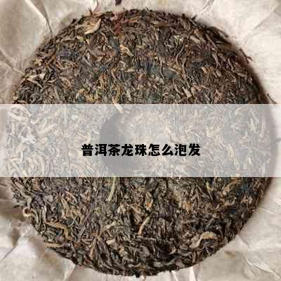 普洱茶龙珠怎么泡发